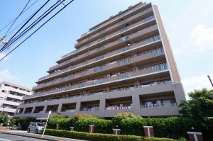 外観修正